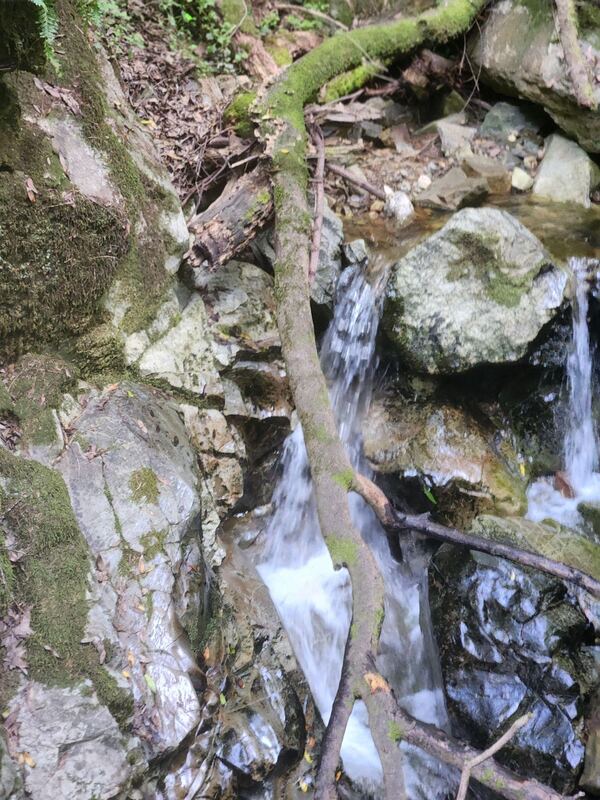 A small waterfall tucked into mossy Coastside rock