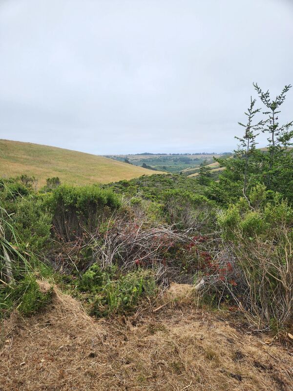 A ridgeline trail above the green Coastside hills